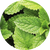 new_images_cyperglow_11_50x_2d733bab-7916-4642-ae56-0d737079dc51.png