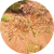 new_images_cyperglow_8_50x_5d531f90-fc3d-4f4b-ae97-baa9457b1370.png
