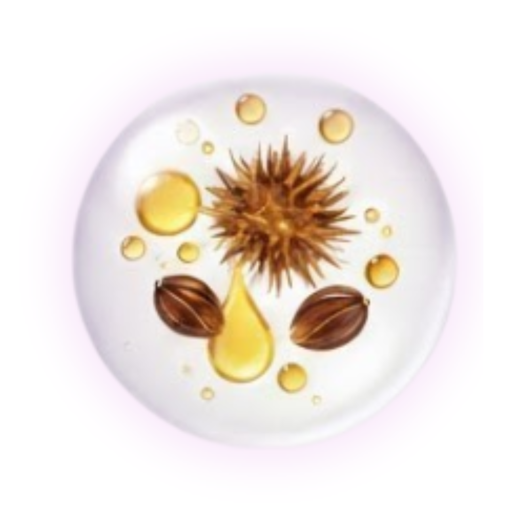 11_c4d9b44f-6ee7-4b2e-9f88-c8962550eb84.png