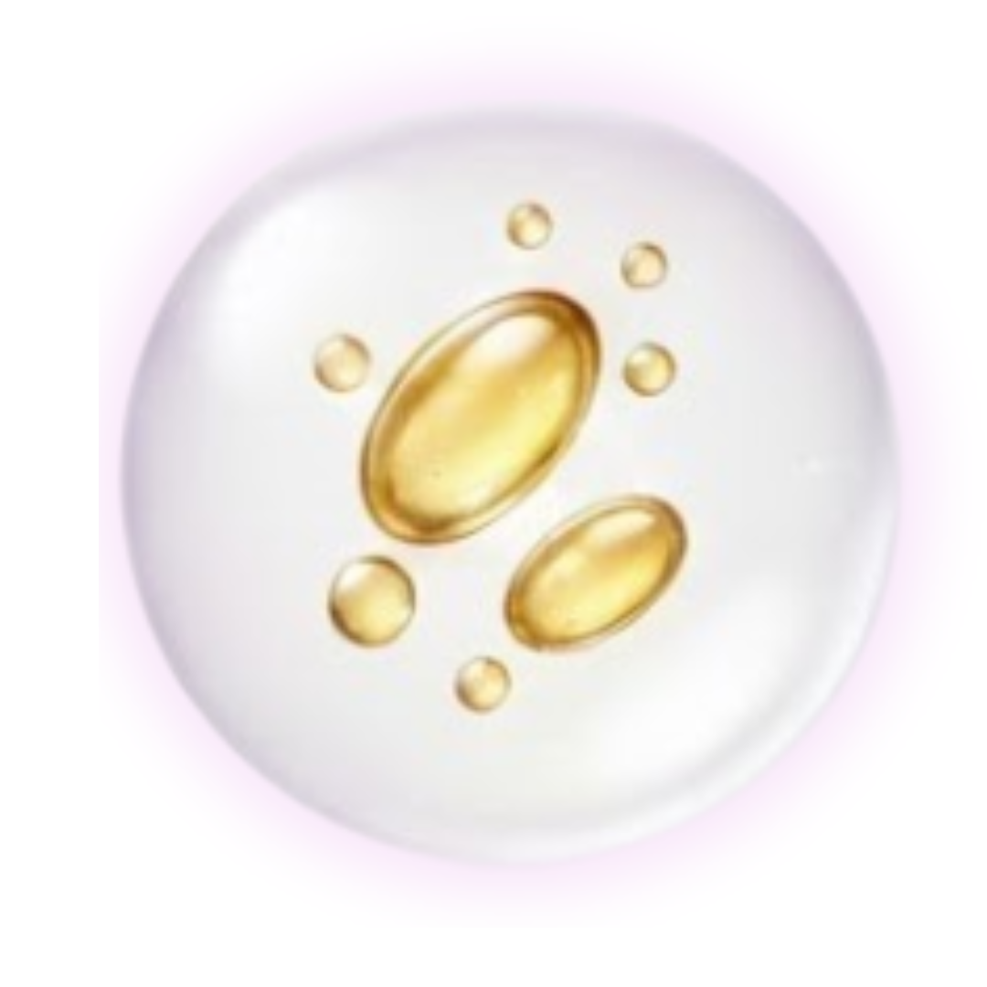 12_a95ea99e-78be-406f-9617-fd90654b8504.png