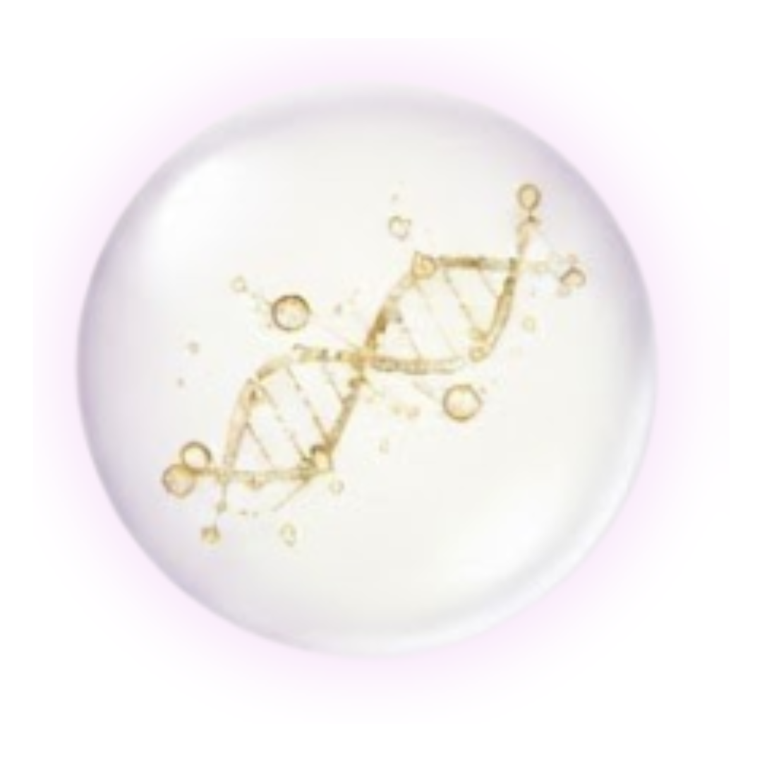 14_c7ec6a2c-6aa5-443b-9149-498728e2774d.png