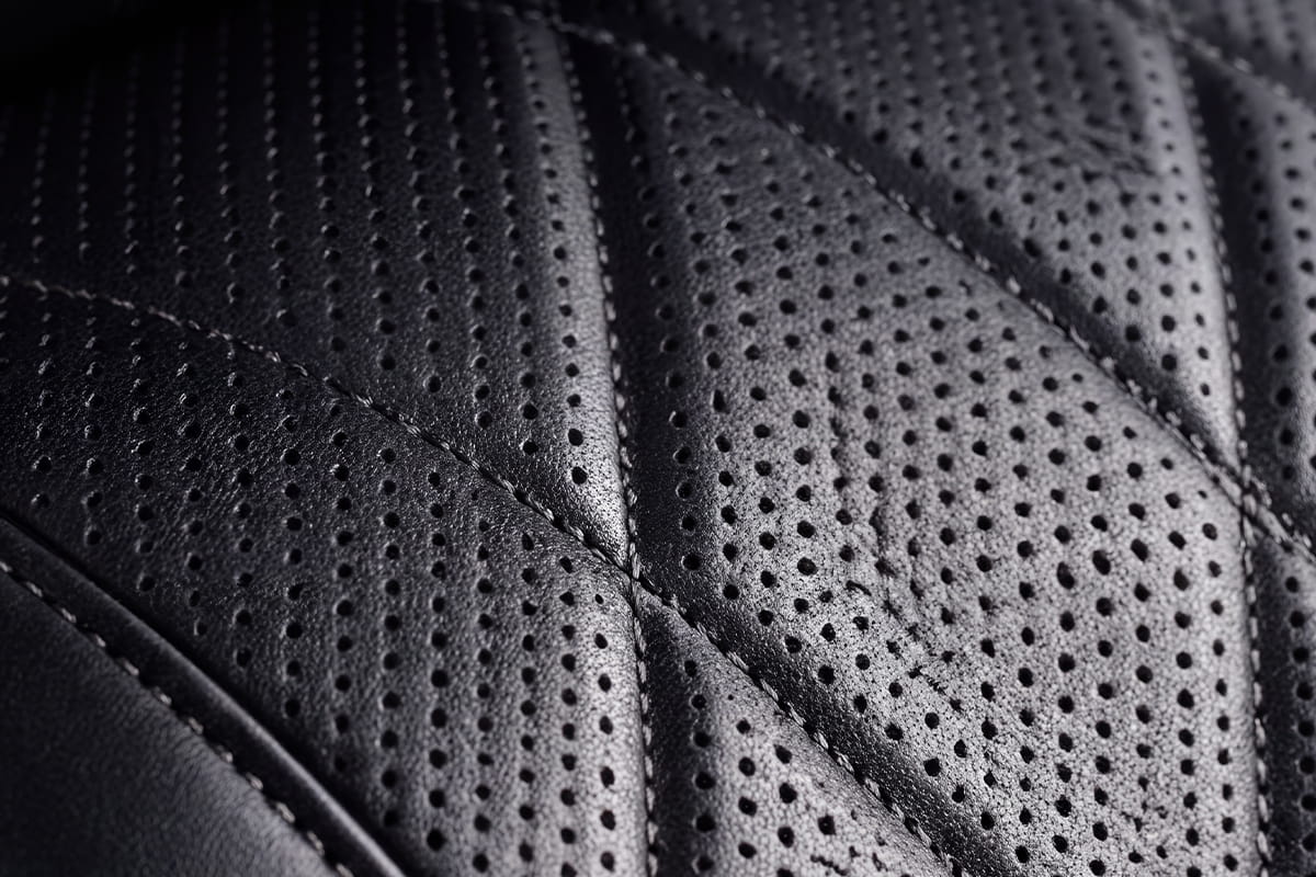 43485c7b-image-19.jpg
