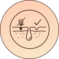 856ef921-4b50-4832-a002-2ead860ccdee.png