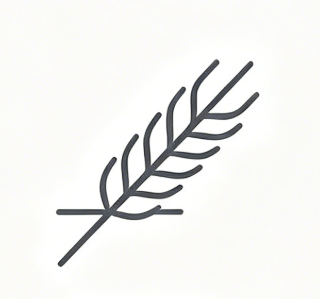 DM_20260428191017_009.png