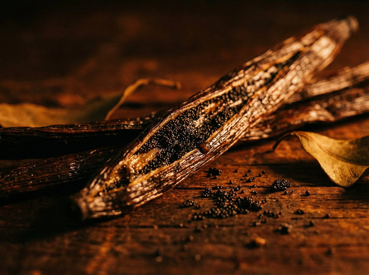 Vanilla