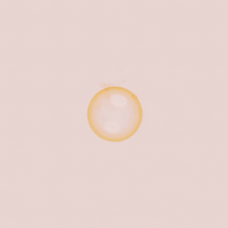 gempages_569391106479883285-63a8ceaf-5e3e-4a02-a855-fd0df7369c67.gif