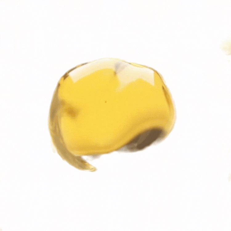 gempages_569391106479883285-ccd50a10-d042-4df6-b785-7dce79621eab_1.gif