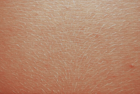 human-skin-texture-photo_-_Bewerkt.jpg