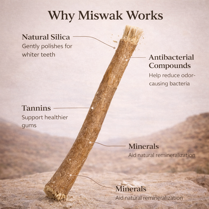 Miswak - Nature's Original Toothbrush