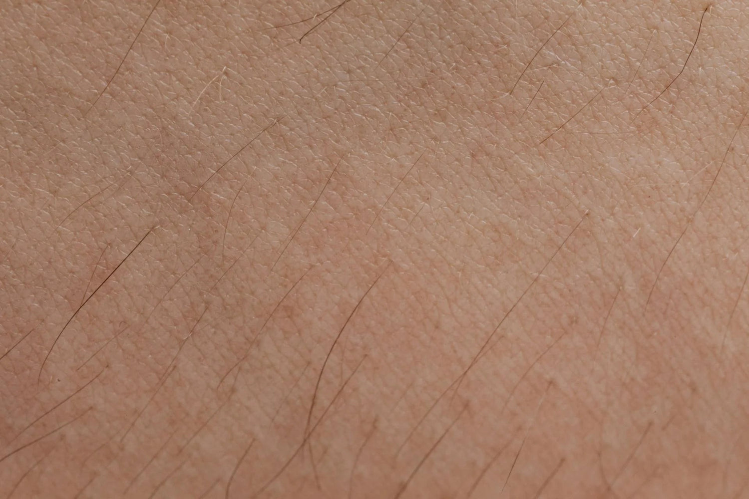 pexels-karolina-grabowska-4046562.jpg