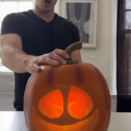pt-e1e4ac5b30fe-shopify_ad_1_square.gif