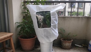 pt-image-7eedc15fbb34.jpg
