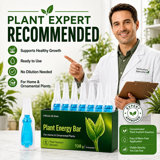 Official US Store  ssiki® Plant Energy Bar