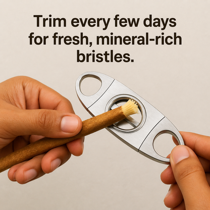 Miswak - Nature's Original Toothbrush