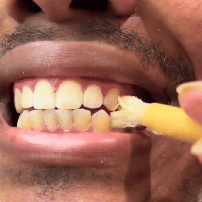 Miswak - Nature's Original Toothbrush