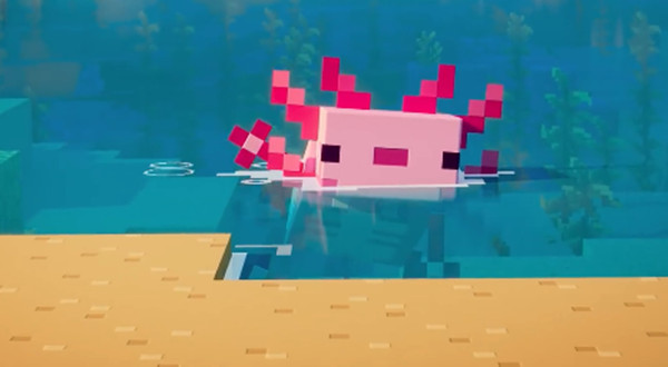 我的世界美西螈怎么驯服？美西螈生成位置及驯服方法介绍