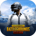 pubg绝地求生国际服手游下载地铁逃生正式版 v2.0.0